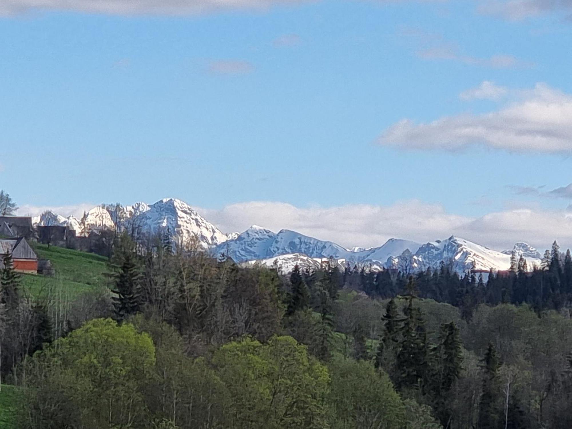 Domki U Jacka Sauna Bilard Tenis Air Hockey Pilkarzyki Bawialnia Plac Zabaw Zakopane Exterior photo